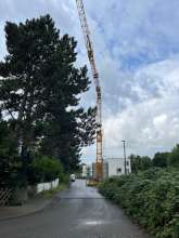 Bild zu gemeldetem Anliegen vom *2025-07-31 18:29:25
