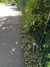 Bild zu gemeldetem Anliegen vom *2025-07-10 12:10:04
