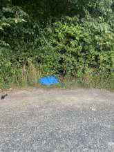 Bild zu gemeldetem Anliegen vom *2025-07-28 10:05:09