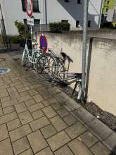 Bild zu gemeldetem Anliegen vom *2025-07-30 09:29:49