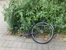 Bild zu gemeldetem Anliegen vom *2025-07-21 12:29:54