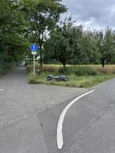 Bild zu gemeldetem Anliegen vom *2025-07-08 10:28:14