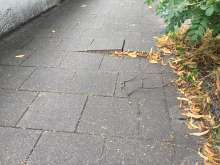 Bild zu gemeldetem Anliegen vom *2025-07-31 12:27:29