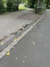 Bild zu gemeldetem Anliegen vom *2025-07-21 10:36:47