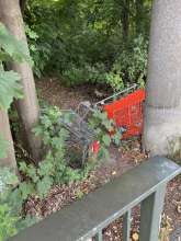 Bild zu gemeldetem Anliegen vom *2025-07-14 15:31:44