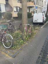 Bild zu gemeldetem Anliegen vom *2025-07-02 20:07:23