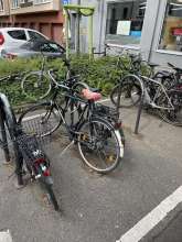 Bild zu gemeldetem Anliegen vom *2025-07-14 19:14:41