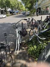 Bild zu gemeldetem Anliegen vom *2025-07-05 12:27:17
