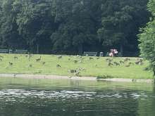 Bild zu gemeldetem Anliegen vom *2025-07-14 12:32:22