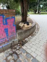 Bild zu gemeldetem Anliegen vom *2025-07-24 12:15:48