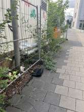 Bild zu gemeldetem Anliegen vom *2025-07-21 19:00:48