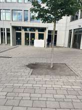 Bild zu gemeldetem Anliegen vom *2025-07-21 06:32:17
