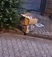 Bild zu gemeldetem Anliegen vom *2025-07-19 21:42:58