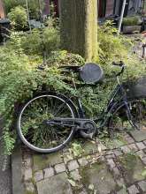Bild zu gemeldetem Anliegen vom *2025-07-25 06:30:52