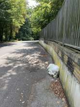 Bild zu gemeldetem Anliegen vom *2025-07-25 12:29:15