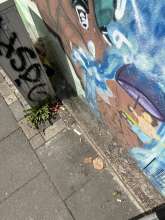 Bild zu gemeldetem Anliegen vom *2025-07-30 12:28:58