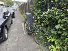 Bild zu gemeldetem Anliegen vom *2025-07-31 14:38:53