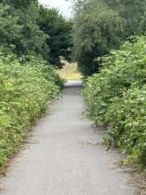 Bild zu gemeldetem Anliegen vom *2025-07-13 12:29:36