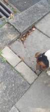 Bild zu gemeldetem Anliegen vom *2025-08-06 21:31:57