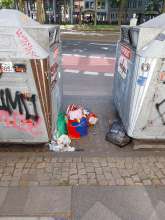 Bild zu gemeldetem Anliegen vom *2025-08-11 09:29:09