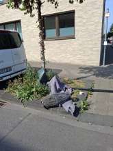 Bild zu gemeldetem Anliegen vom *2025-08-20 11:24:26