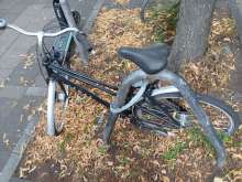 Bild zu gemeldetem Anliegen vom *2025-08-09 20:04:06
