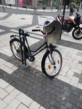 Bild zu gemeldetem Anliegen vom *2025-08-08 08:27:42