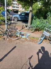 Bild zu gemeldetem Anliegen vom *2025-08-10 15:56:40