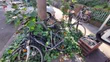 Bild zu gemeldetem Anliegen vom *2025-08-13 12:34:15