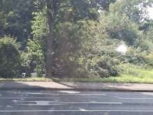 Bild zu gemeldetem Anliegen vom *2025-08-13 16:23:00