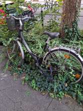Bild zu gemeldetem Anliegen vom *2025-08-28 21:50:57