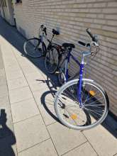 Bild zu gemeldetem Anliegen vom *2025-08-29 12:28:17