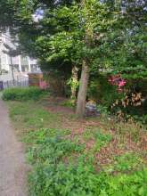 Bild zu gemeldetem Anliegen vom *2025-08-08 06:32:03