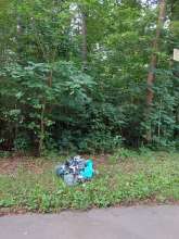 Bild zu gemeldetem Anliegen vom *2025-08-10 09:36:36