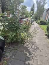 Bild zu gemeldetem Anliegen vom *2025-08-01 15:25:44