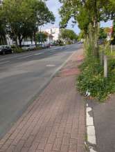 Bild zu gemeldetem Anliegen vom *2025-08-08 06:32:03