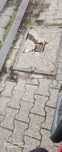 Bild zu gemeldetem Anliegen vom *2025-08-06 09:33:40