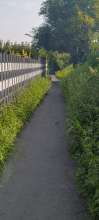 Bild zu gemeldetem Anliegen vom *2025-08-14 09:28:23