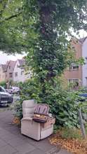 Bild zu gemeldetem Anliegen vom *2025-08-04 09:29:39