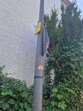 Bild zu gemeldetem Anliegen vom *2025-08-13 13:50:09