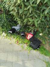 Bild zu gemeldetem Anliegen vom *2025-08-13 15:33:18