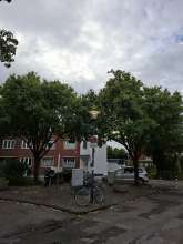 Bild zu gemeldetem Anliegen vom *2025-08-02 15:29:49