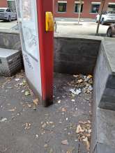 Bild zu gemeldetem Anliegen vom *2025-08-04 12:28:46