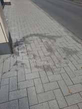 Bild zu gemeldetem Anliegen vom *2025-08-12 12:31:30