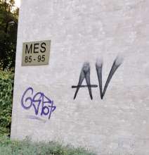 Bild zu gemeldetem Anliegen vom *2025-08-12 21:28:56