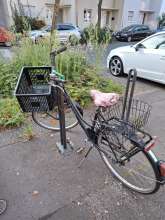 Bild zu gemeldetem Anliegen vom *2025-08-14 18:28:08