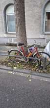 Bild zu gemeldetem Anliegen vom *2025-08-04 20:39:33
