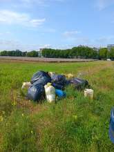 Bild zu gemeldetem Anliegen vom *2025-08-06 15:33:50
