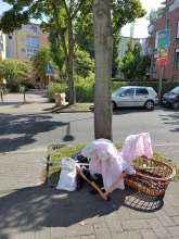 Bild zu gemeldetem Anliegen vom *2025-08-11 07:57:41