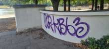 Bild zu gemeldetem Anliegen vom *2025-08-25 12:27:26